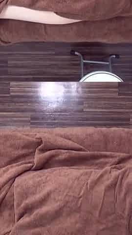 Asian Angel 27174