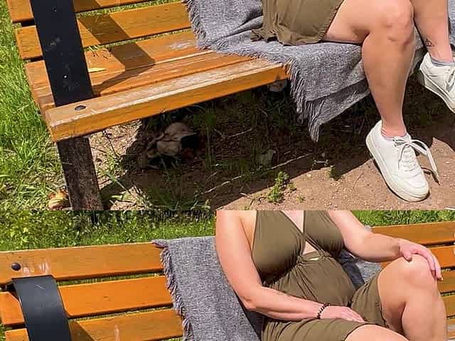 Risky Outdoor Masturbation on a Park Bench