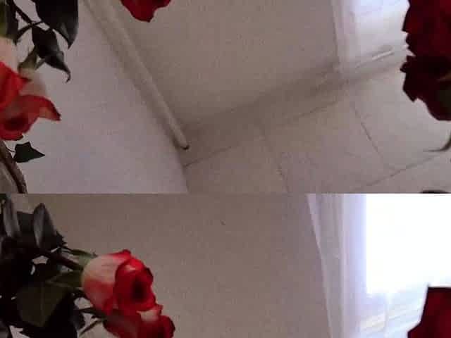 SOLO FEMALE - Flowery mirror ride - Trish Collins