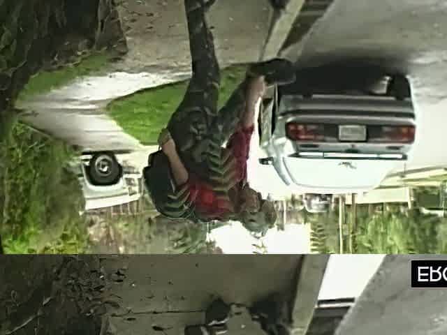 Evan Stone And Taylor Rain - Lumberjack Fucks His Bride