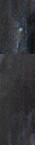 Solo black creamy masterbation