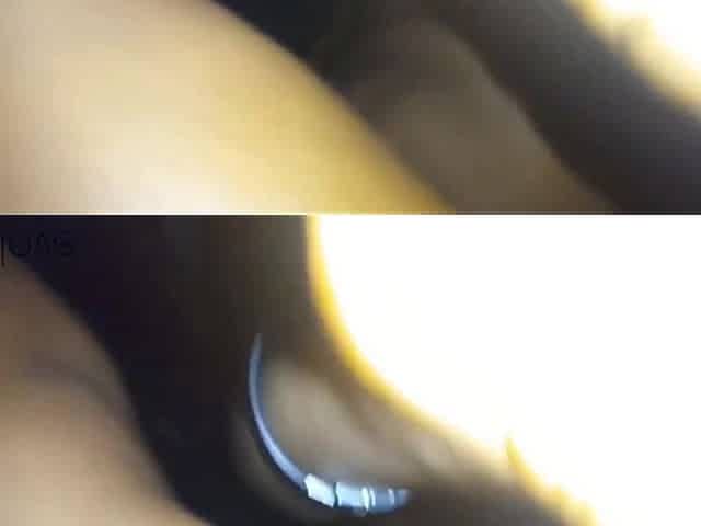 Big Ass Cum Shot with Sexy Big Pussy