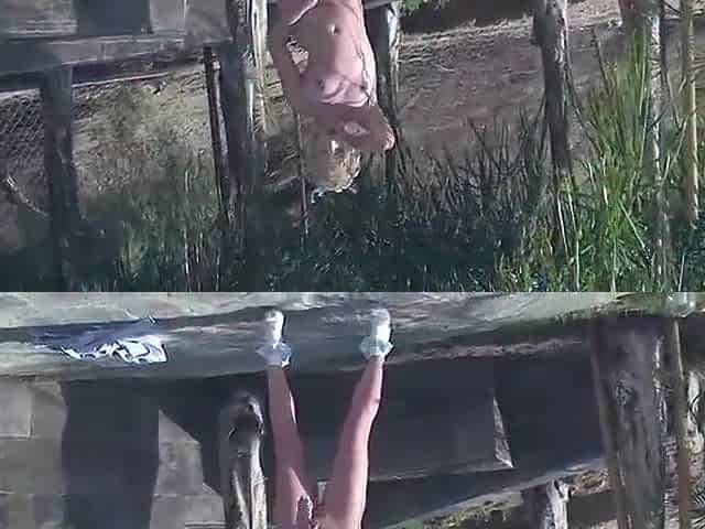Blondie performs blowjob on a vibrator and thereafter engages in butt-ramming with a big schlong.