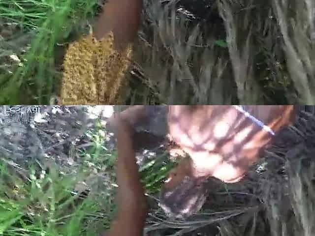 National geographic censored this part due to the way the chief of this Afro tribe was greeted