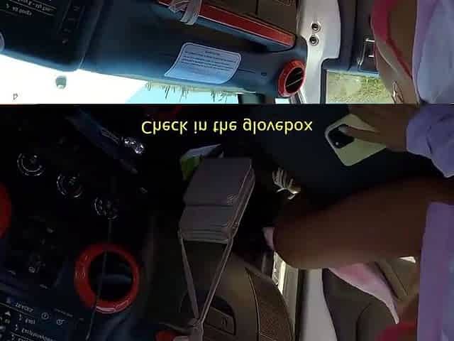 Daniela Antury Fucking In The Car