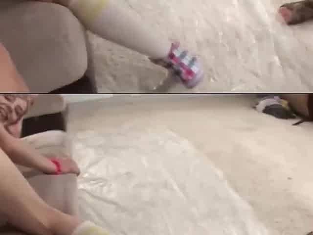 Horny tarts thrilling porn scene