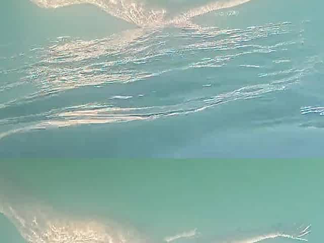I secretly filmed naked swimming beauty with consummate body on my go pro camera