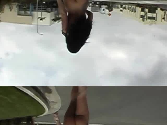 Vandalia Loves Public Nudity And Outdoor Blowjobs