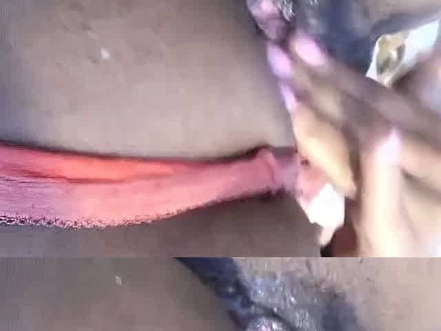 Slim Ebony Girl Anal Masturbation on Webcam