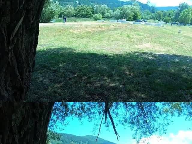 Public Picnic BJ and Anal with a Big-Ass Amateur