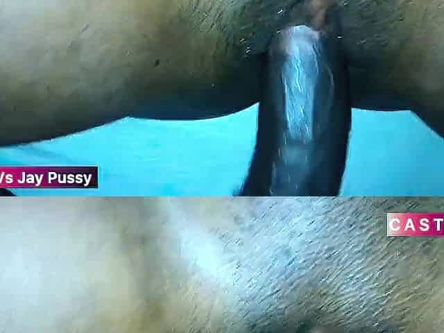 Real Afro Dick and Vagina With Jay Pusy