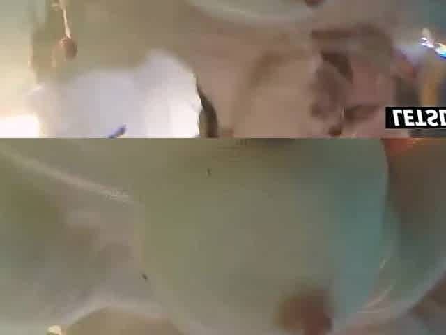 This guy Bent Me Over the Pool Edge and Stretched My Cunt Underwater