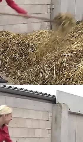Big fat farmer on the sexy blonde girl