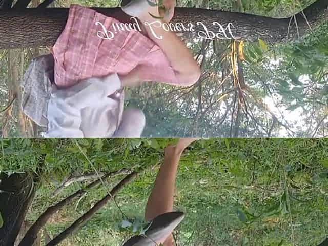 Student Viral, Risky Fucked at the Forest Outdoor Creampie