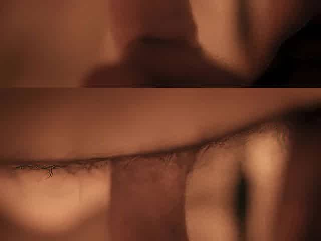 Little Lips Implores With Fierce Close-Up Blow job