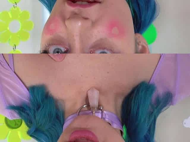 Brunette slut gives a great pov amateur blowjob