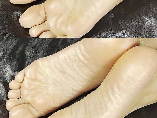 Pink Foxx's Succulent Soles