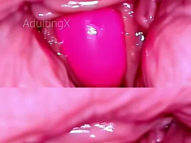 Inside a Camgirl Cervix POV Camera in Vagina with Pink Vibrating Toy