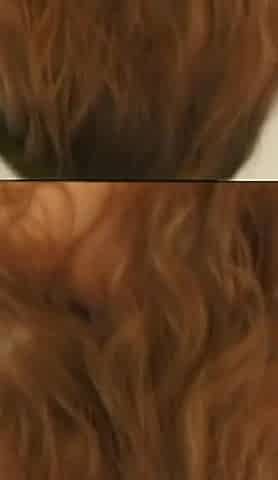 Double Blowjob Ending in Facial Cumshot