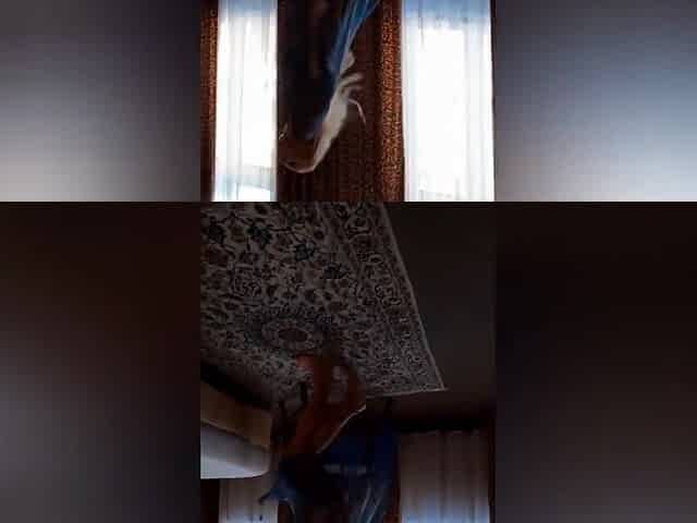 Selenas Dancing Posing And Sex In Bed