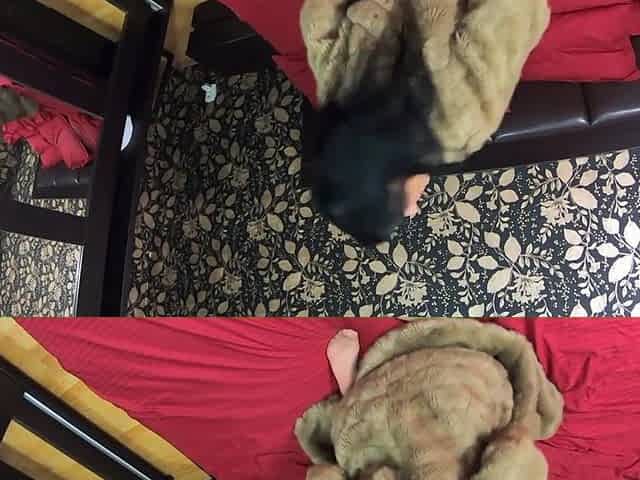 Milfycalla Compilation - Fetish Sex, Blow-jobs and Rough Sex While Wearing Sexy Fur Coats 1