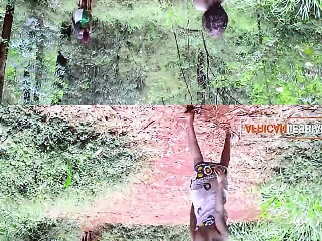 Ebony Black Fairies Walking In The Jungle Get Teased By Big Black Tit Milf Wanting Lesbian Threesome