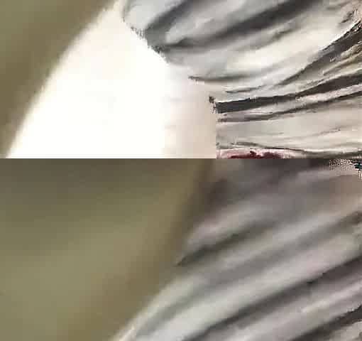 Black Webcam Girls Twerk, Strip and Show Pussy