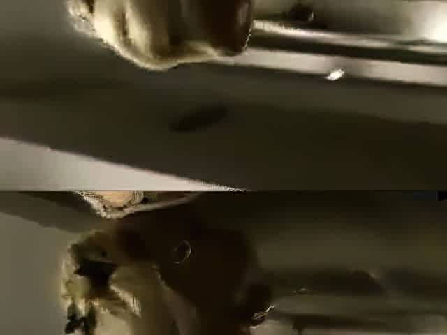 Deutsch blonde milf Amateurvideo von Big-toppten