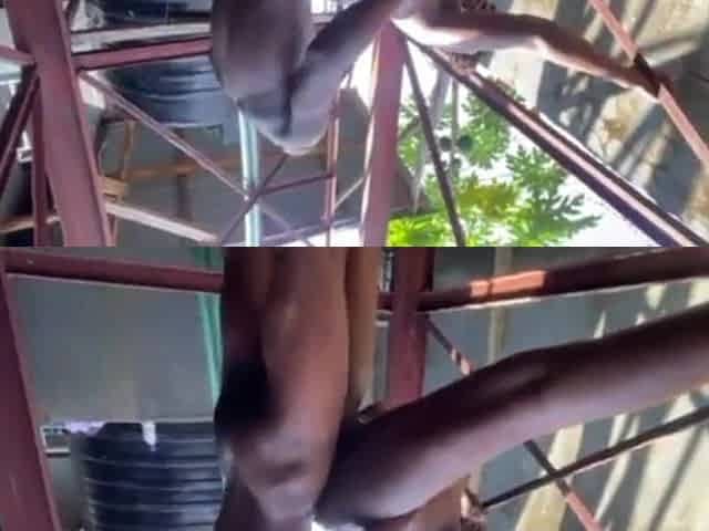 Outdoor Sex