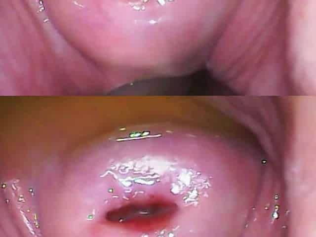 Extreme Close-up Pussy Cam