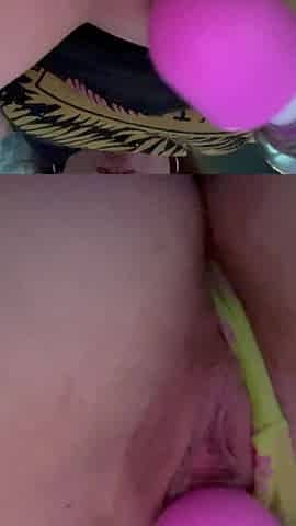 Look at All the Pink Pussy