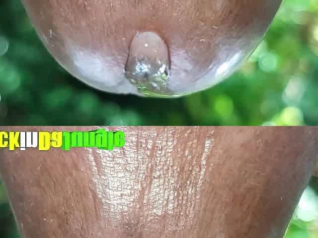 Jamaican Large Schlong Man presents- Extraordinary Close Up Precum Play Wettest Wang in Jamaica! Hawt Moanings