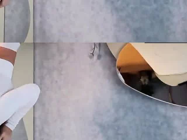 Big-Titted Stepmom Seduces Stepson for Rough Sex
