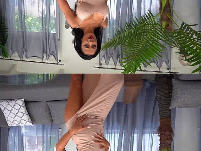 Brunette beauty Shalina Devine gets her pussy railed by horny hung