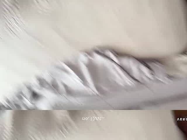 Underware try-on and bang with my beloved stepson - creampie