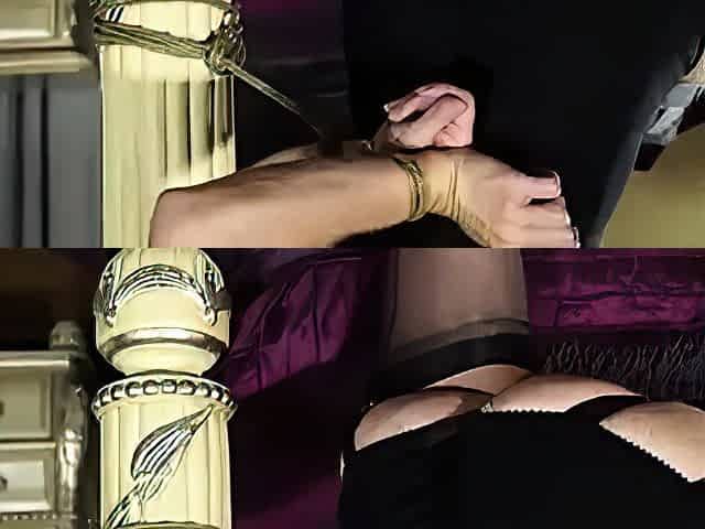 Trained Slave Pet bdsm bondage slave femdom domination