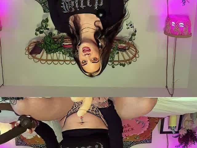 Thelanadelrayx - Sph Plap a Humiliation Ballbusting