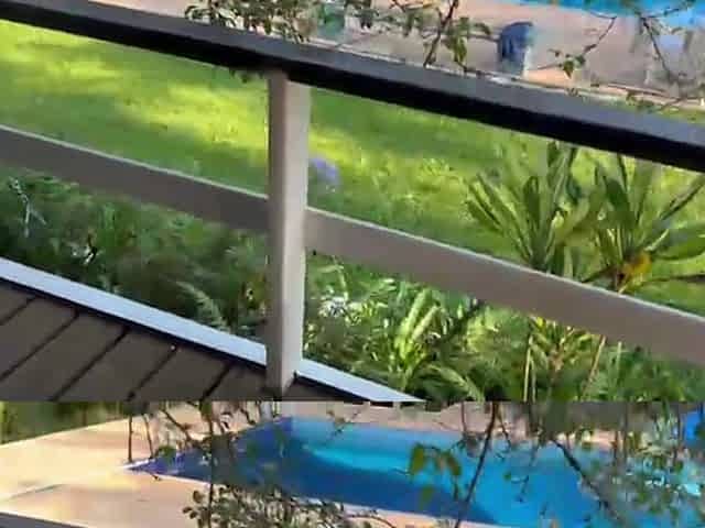 I Made My Dream Come True I Swam Naked in My Neighbor's Pool Then I Gave Him My Tasty Pussy