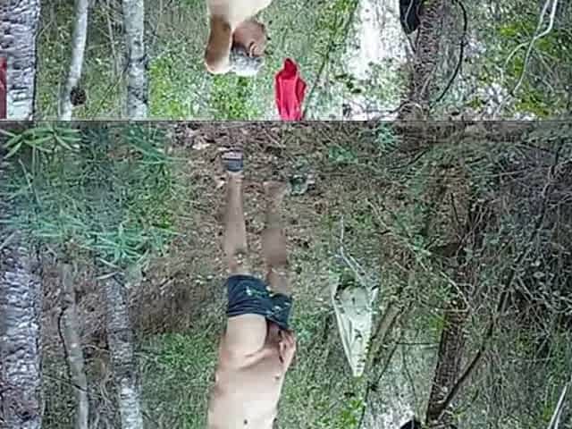 A in the Forest 1