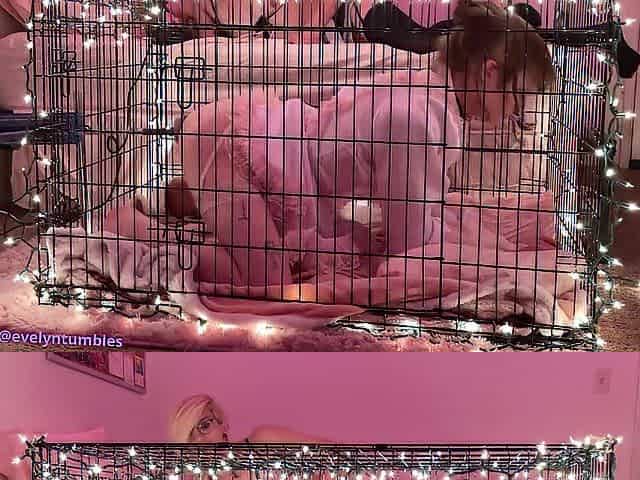 sissy gets caged and tutored by a femboy