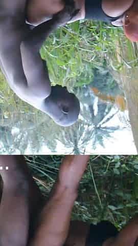 The Africans Were Caught in the Bush Fucking