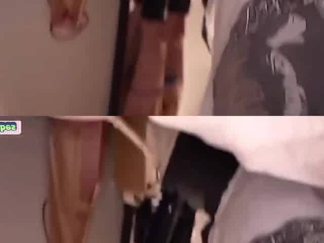 Incredible Adult Video Japanese Censored Amateur Watch Only For You - Ran Matsuno And Asian Angel