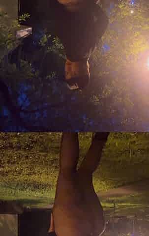Ass Walking