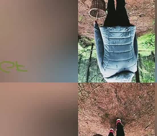 sex during the time that walking in the woods