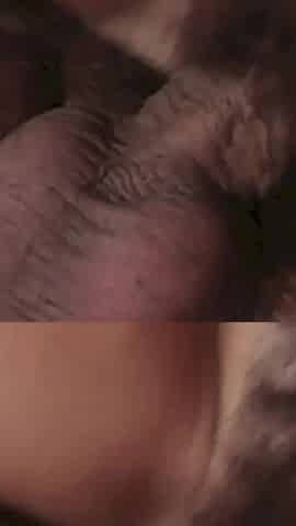 Boyfriend Gets Girlfriend's Ass Pounded by Two Big Dicks