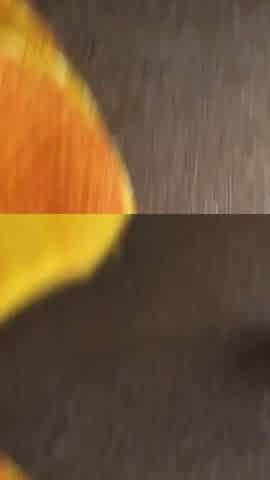 Desi Bhabhi's Ass Hit Bhabhi's House