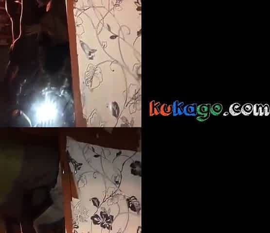 Mamada Tuga - Amateur Blowjob in Portuguese