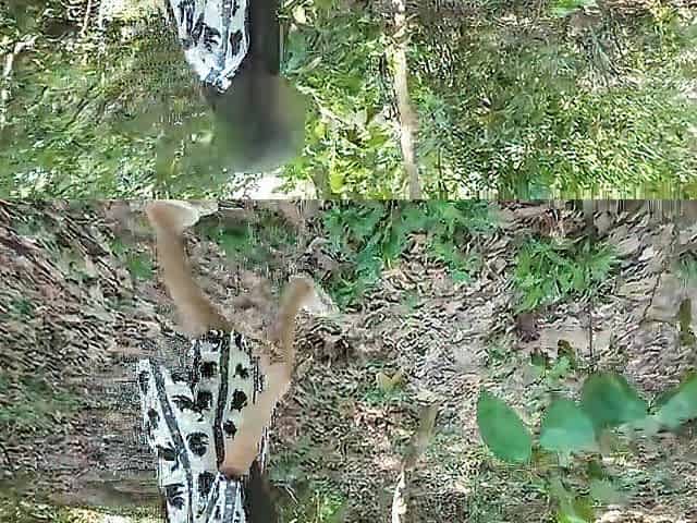 Thai gal brags about needing to pee in the woods, but then gets lewd and masturbates. (Thai audio)