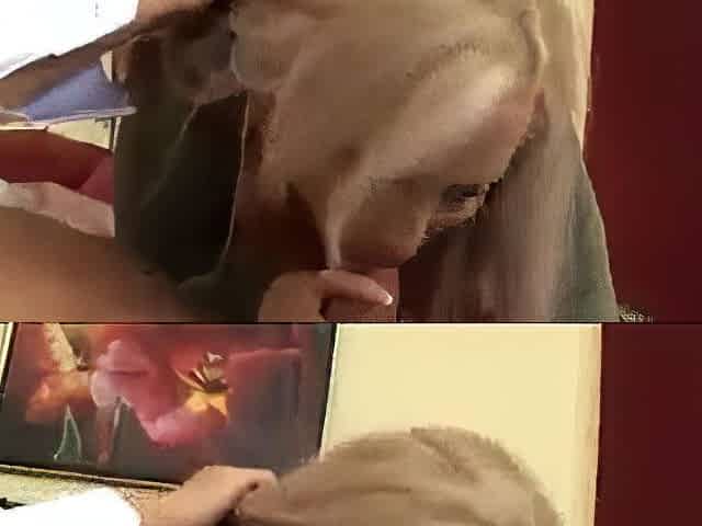 Large titted golden-haired gets drilled