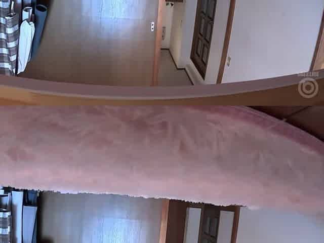0010980_Japanese_Censored_MGS_19min